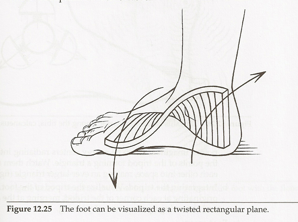 Twisted plate image for the foot